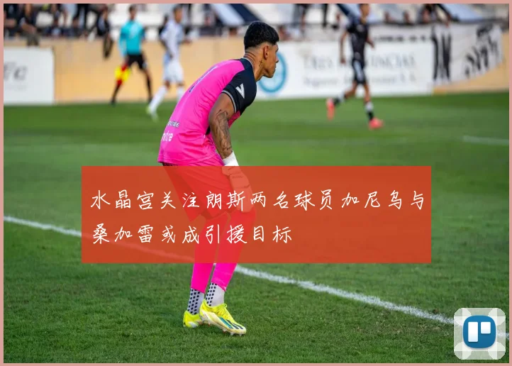 水晶宫关注朗斯两名球员加尼乌与桑加雷或成引援目标
