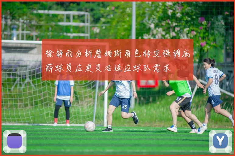徐静雨分析詹姆斯角色转变强调底薪球员应更灵活适应球队需求