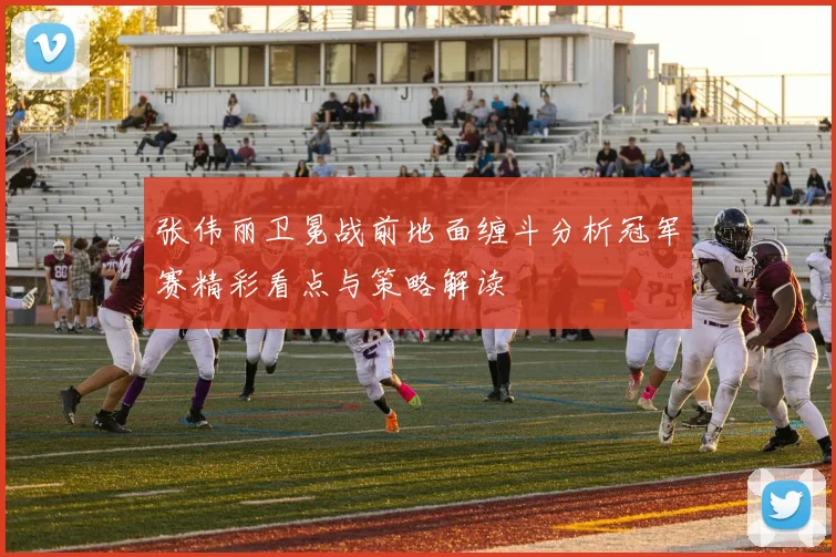 张伟丽卫冕战前地面缠斗分析冠军赛精彩看点与策略解读